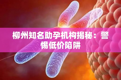 柳州知名助孕机构揭秘：警惕低价陷阱