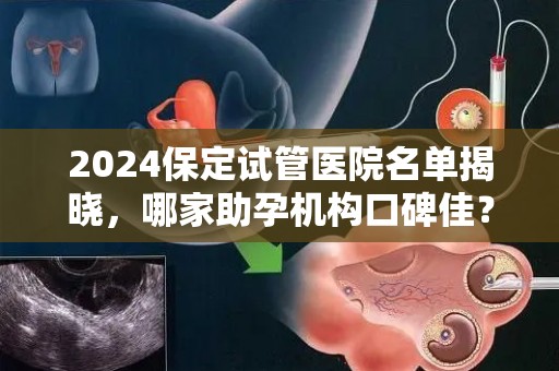 2024保定试管医院名单揭晓，哪家助孕机构口碑佳？