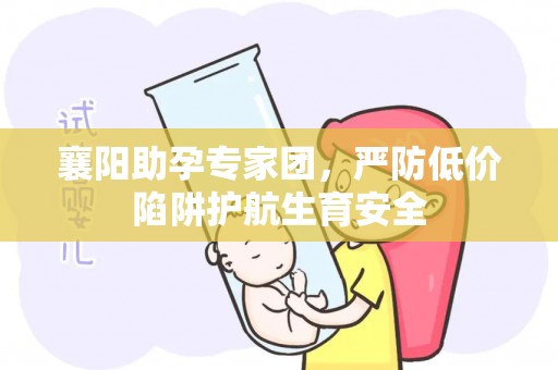 襄阳助孕专家团，严防低价陷阱护航生育安全