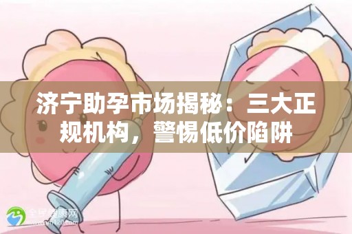 济宁助孕市场揭秘：三大正规机构，警惕低价陷阱