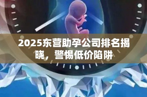 2025东营助孕公司排名揭晓，警惕低价陷阱