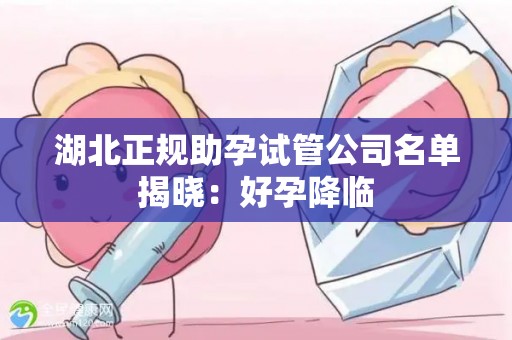 湖北正规助孕试管公司名单揭晓：好孕降临