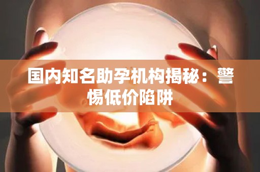 国内知名助孕机构揭秘：警惕低价陷阱