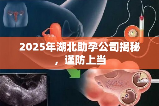 2025年湖北助孕公司揭秘，谨防上当