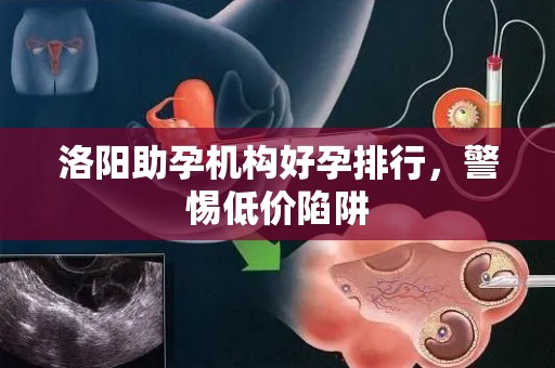 洛阳助孕机构好孕排行，警惕低价陷阱
