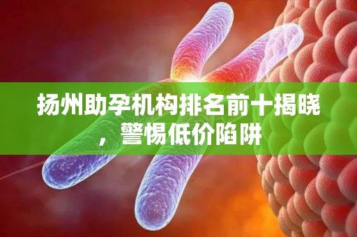 扬州助孕机构排名前十揭晓，警惕低价陷阱