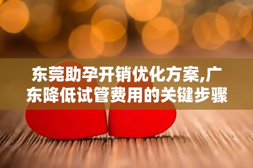东莞助孕开销优化方案,广东降低试管费用的关键步骤
