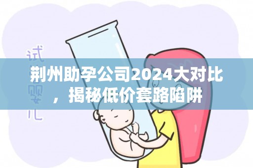 荆州助孕公司2024大对比，揭秘低价套路陷阱