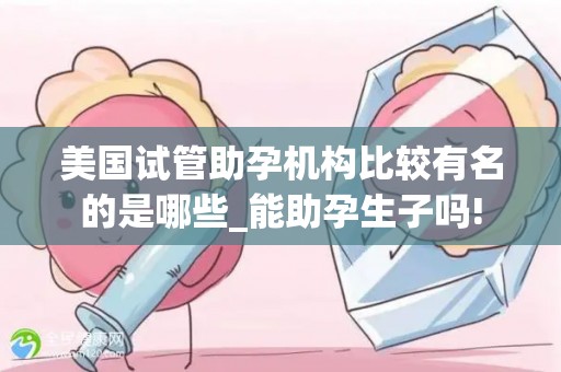 美国试管助孕机构比较有名的是哪些_能助孕生子吗!