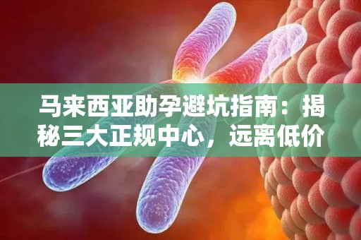 马来西亚助孕避坑指南：揭秘三大正规中心，远离低价陷阱