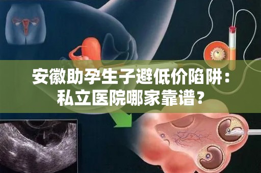 安徽助孕生子避低价陷阱：私立医院哪家靠谱？