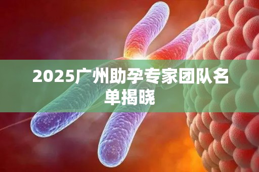 2025广州助孕专家团队名单揭晓