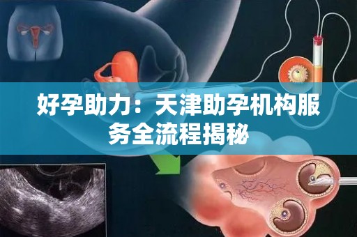 好孕助力：天津助孕机构服务全流程揭秘