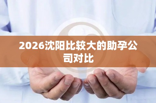 2026沈阳比较大的助孕公司对比