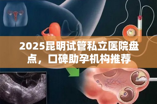 2025昆明试管私立医院盘点，口碑助孕机构推荐