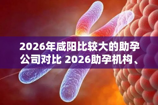2026年咸阳比较大的助孕公司对比 2026助孕机构、赫然在列