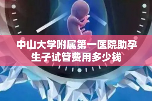 中山大学附属第一医院助孕生子试管费用多少钱