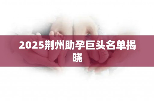 2025荆州助孕巨头名单揭晓