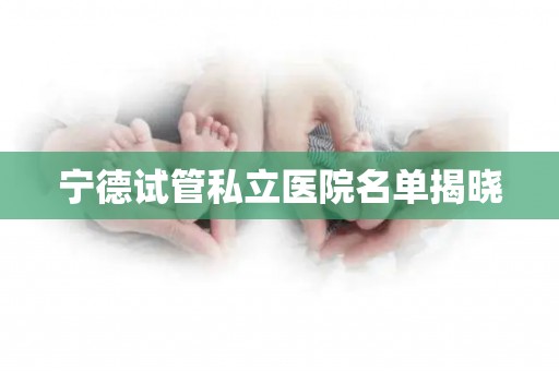 宁德试管私立医院名单揭晓