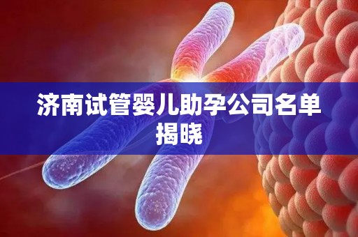 济南试管婴儿助孕公司名单揭晓