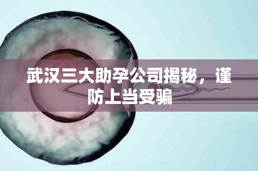 武汉三大助孕公司揭秘，谨防上当受骗