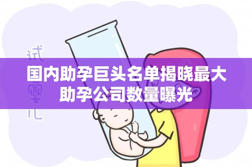 国内助孕巨头名单揭晓最大助孕公司数量曝光