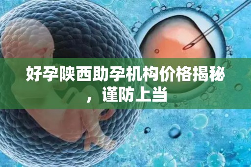 好孕陕西助孕机构价格揭秘，谨防上当