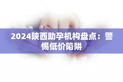 2024陕西助孕机构盘点：警惕低价陷阱