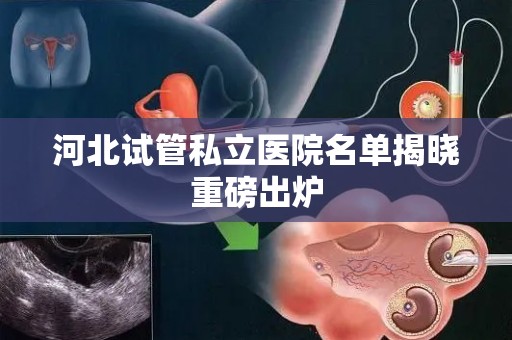 河北试管私立医院名单揭晓重磅出炉