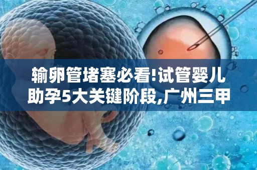 输卵管堵塞必看!试管婴儿助孕5大关键阶段,广州三甲医生揭秘!