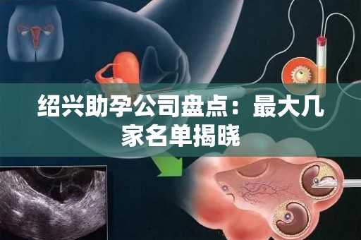 绍兴助孕公司盘点：最大几家名单揭晓