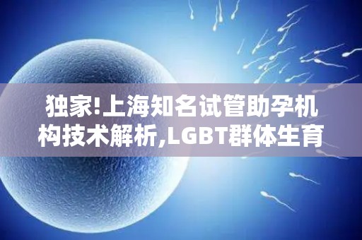 独家!上海知名试管助孕机构技术解析,LGBT群体生育方案全揭秘!