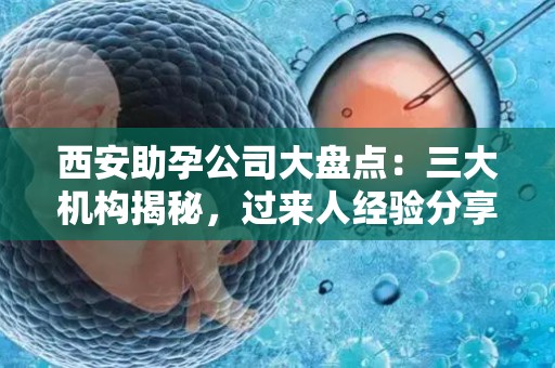 西安助孕公司大盘点：三大机构揭秘，过来人经验分享