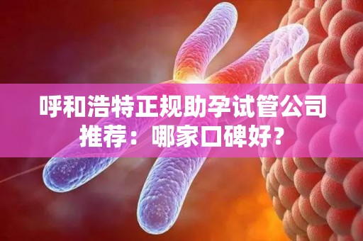 呼和浩特正规助孕试管公司推荐：哪家口碑好？