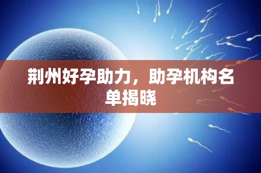 荆州好孕助力，助孕机构名单揭晓