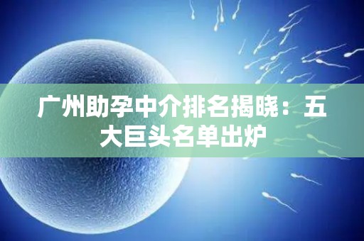 广州助孕中介排名揭晓：五大巨头名单出炉