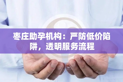 枣庄助孕机构：严防低价陷阱，透明服务流程