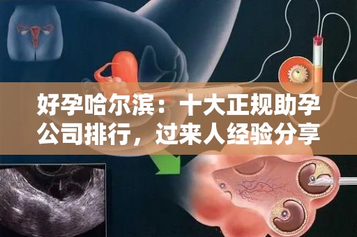 好孕哈尔滨：十大正规助孕公司排行，过来人经验分享