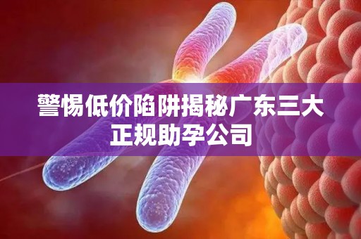警惕低价陷阱揭秘广东三大正规助孕公司