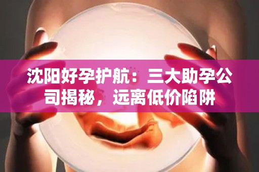 沈阳好孕护航：三大助孕公司揭秘，远离低价陷阱
