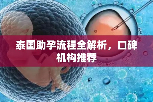 泰国助孕流程全解析，口碑机构推荐