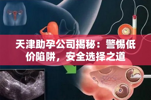 天津助孕公司揭秘：警惕低价陷阱，安全选择之道