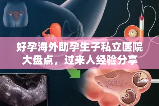 好孕海外助孕生子私立医院大盘点，过来人经验分享