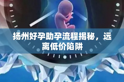 扬州好孕助孕流程揭秘，远离低价陷阱