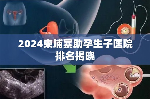 2024柬埔寨助孕生子医院排名揭晓