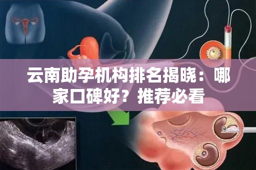 云南助孕机构排名揭晓：哪家口碑好？推荐必看