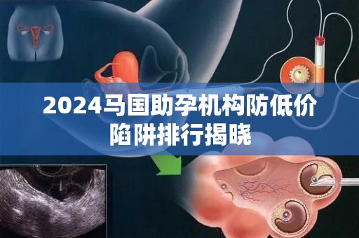 2024马国助孕机构防低价陷阱排行揭晓