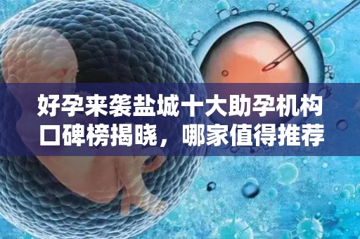 好孕来袭盐城十大助孕机构口碑榜揭晓，哪家值得推荐？