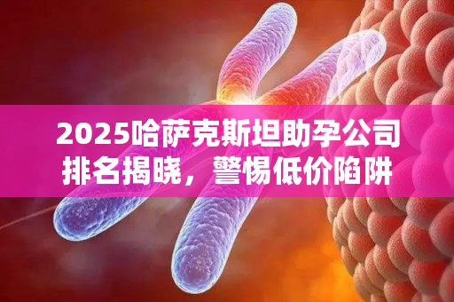 2025哈萨克斯坦助孕公司排名揭晓，警惕低价陷阱