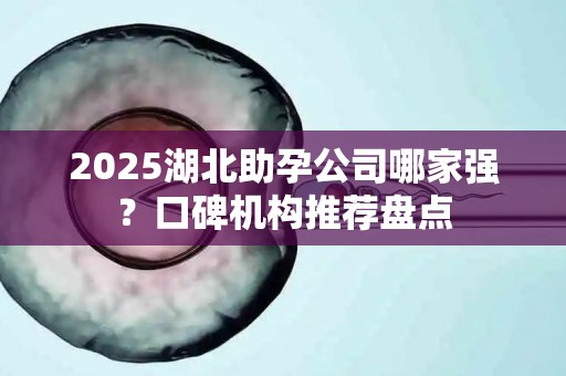 2025湖北助孕公司哪家强？口碑机构推荐盘点